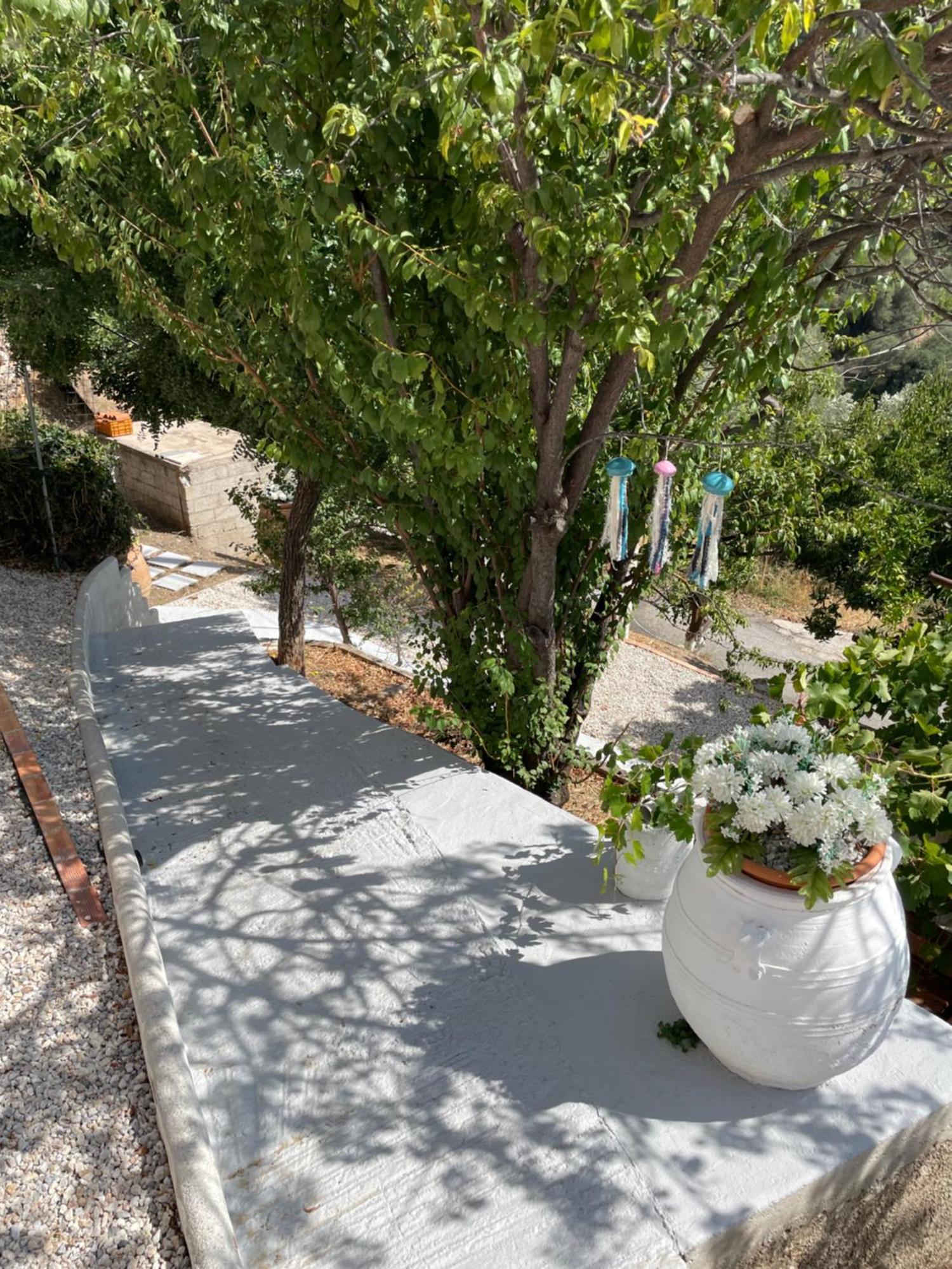 Villa Koomas - Kakodiki Paleochora Avdhouliana Exterior foto
